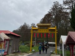 -渌洋湖湿地公园