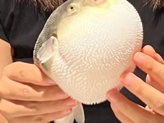 -肆月河豚·淮扬菜·湘菜(华天店)
