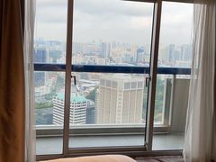 -新加坡瑞士史丹福酒店