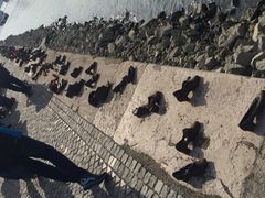 -多瑙河畔鞋履雕塑