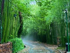 -竹泉村旅游度假区
