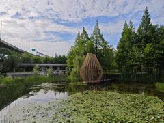 -洋湖国家湿地公园