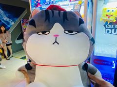 -城市动力(弘桥商城店)
