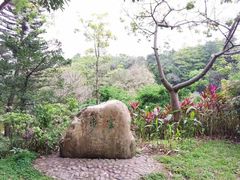 -云溪植物园