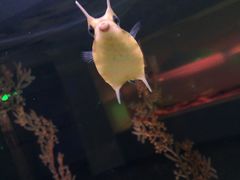 -常州海昌海洋探索馆