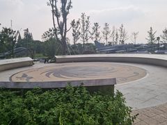 -成飞公园