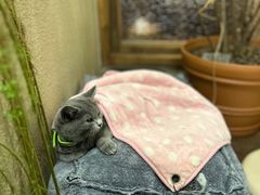 -富桂厨房