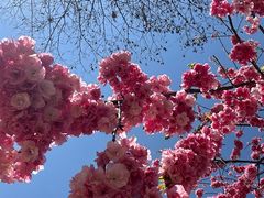 -名花谷生态庄园