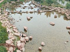 -小绿谷公园