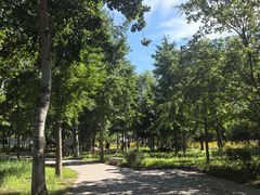 -绿堤公园