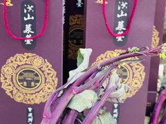 -宝通禅寺