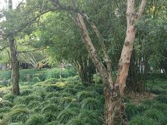 -上海醉白池公园