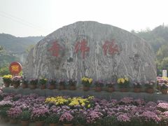 -蒙山大佛景区