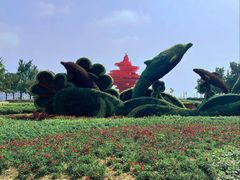 -五四广场