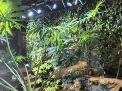 -森味薪火烧•烧鸟居酒屋•日本料理(望京店)