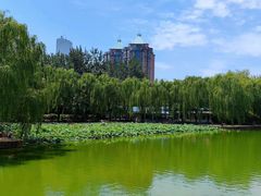 -团结湖公园