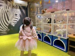 -卡通尼·Safari非洲探索乐园·生日会(金桥国际商业广场店)