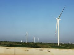 -南大港湿地风景区