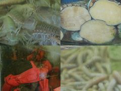 -岛中岛·海鲜大排档·万宁老字号(东澳店)