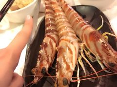 -鲜入围煮花胶鸡海鲜火锅