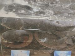 -上名堂·鱼头好吃(体育场路店)