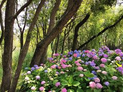 -西湖风景区-江洋畈生态公园