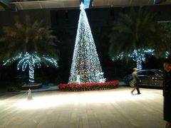 -广州富力丽思卡尔顿酒店