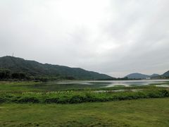 -风云岭森林公园