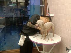 -FAELING PETS美天灵宠物(富力广场店)
