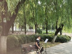 -后襄河公园