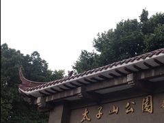 -太子山公园(园东路)
