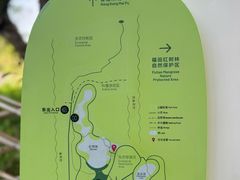 -福田红树林生态公园