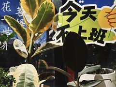 -懒人盐府人家(航天桥店)