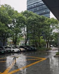 -七色田儿童摄影(静安店)