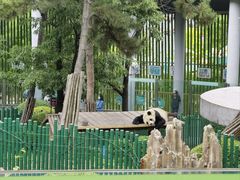 -大连森林动物园