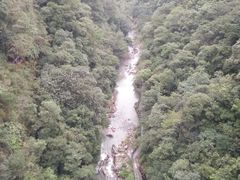 -九龙江国家森林公园