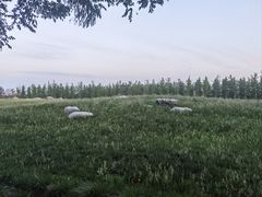 -汉长安城未央宫国家考古遗址公园