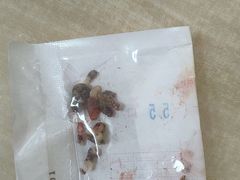 -北京观赏动物医院·24小时大型综合·猫专科·异宠专科