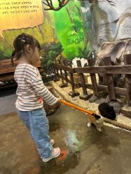 -Zoolung Zoolung动物主题公园(海信广场店)