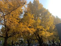 -四川大学(华西校区)