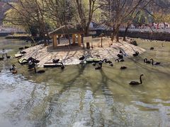 -黔灵山公园