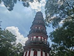 -顺峰山公园