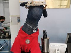 -北京赛佳动物医院