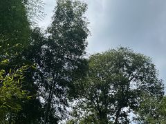 -黄公望隐居地