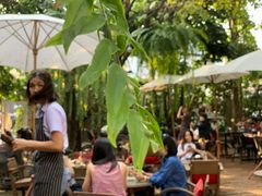 -Fern Forest Cafe
