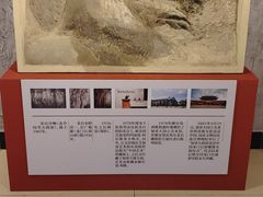 -安阳博物馆