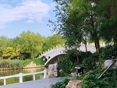 -塘沽森林公园