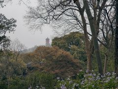 -惠山古镇·寄畅园