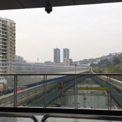 -青禾造型&刺青