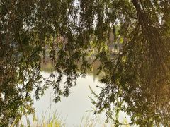 -东莞植物园